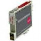 Epson T048340C