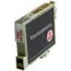 Epson T048640C